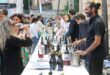 “Wine Sicily” all’Orto Botanico: a Palermo tre giorni dedicati ai vini d’eccellenza